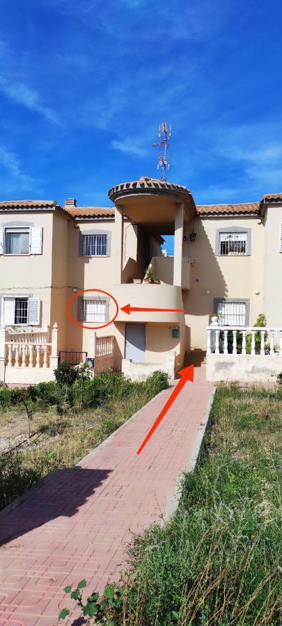 Zeus Beach La Mata ตอร์เรเวียคา ภายนอก รูปภาพ